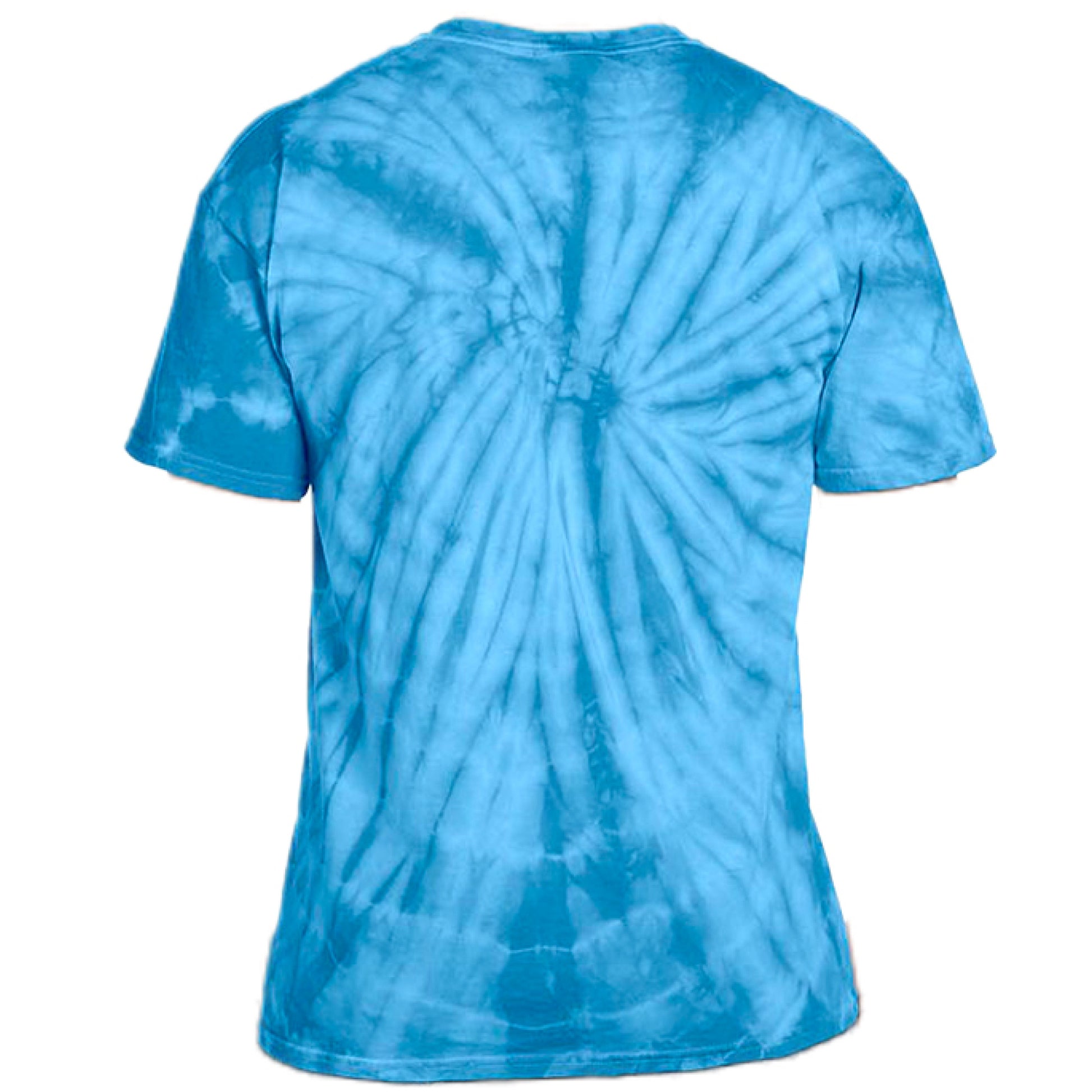 SPIDER TURQUOISE - BACK